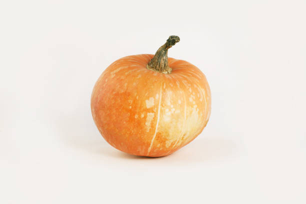 istock beautiful ripe pumpkin isolated on white background 959528376