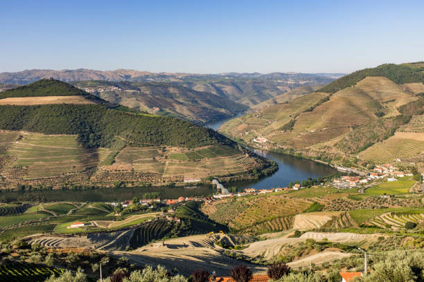 istock The Douro Valley In Portugal 959528748