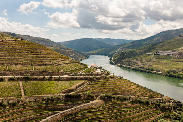 istock Douro Valley in Portugal 959531244