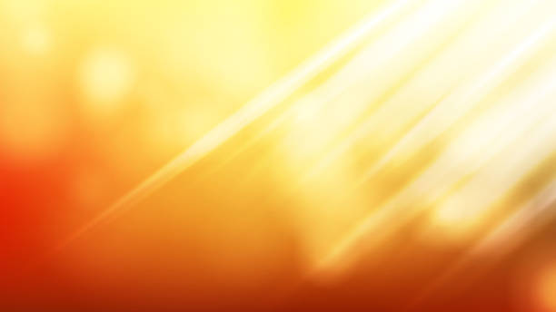 wektor tła światła słonecznego. realistyczny projekt rozmycia. miękka flara. tło słońca. ilustracja - summer landscape flash stock illustrations