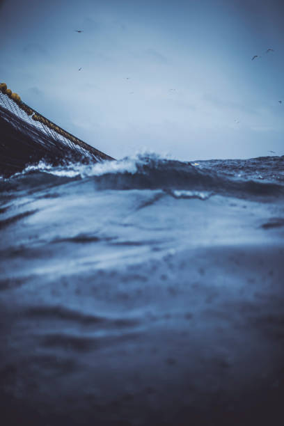 istock Fishing net out in a rough sea 959552010