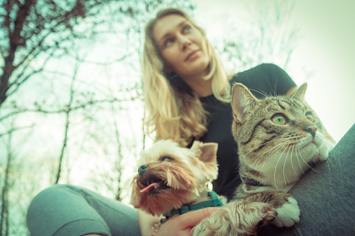 Cat and dog. Girls are walking with a Yorkshire terrier and a cat