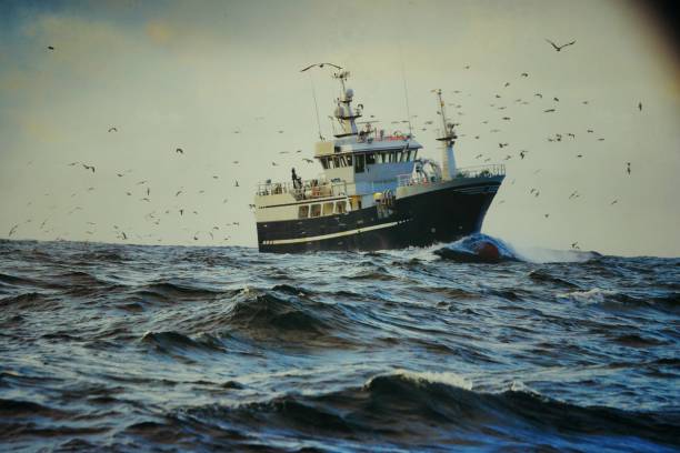 fishingboat vessel fishing in a rough sea - rede de arrastão imagens e fotografias de stock