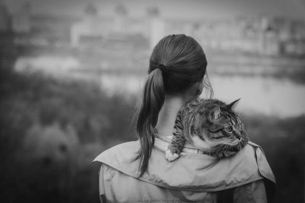 istock Cat on a leash. A girl is walking with a cat that sits on her shoulder 959554986
