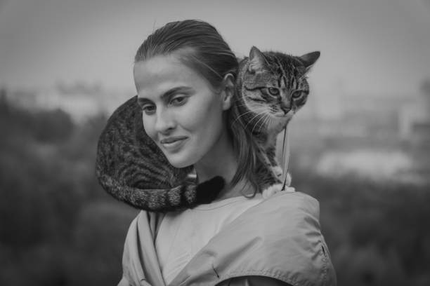 istock Cat on a leash. A girl is walking with a cat that sits on her shoulder 959555044