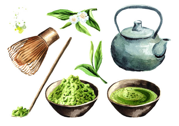 ilustraciones, imágenes clip art, dibujos animados e iconos de stock de conjunto de la ceremonia del té. matcha en polvo, pote del té, taza de matcha orgánico verde tradicional, bate de bambú, cuchara de madera. ilustración de dibujado a mano acuarela, aislado sobre fondo blanco - green tea illustrations