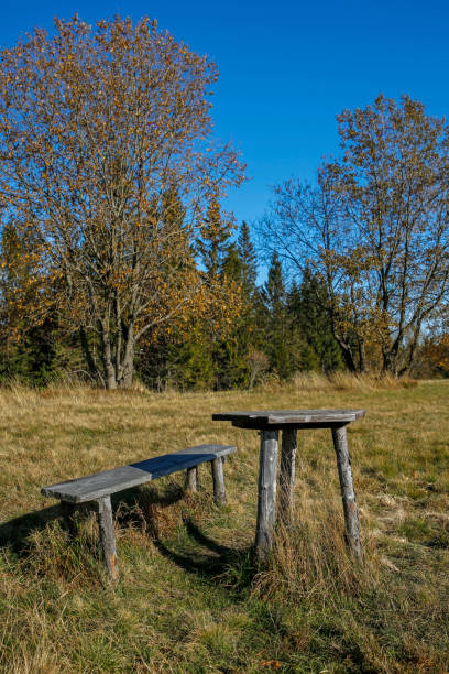 istock wooden bench and table in autumn mountain scenery 959556460