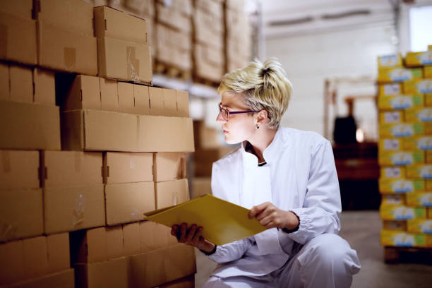 istock Young beautiful dedicated woman is holding yellow folder while checking the count of stacks of cardboard boxes and kneeling inside of factory storage room. 959559160