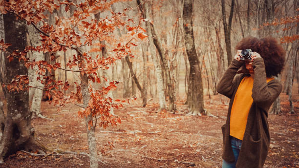 jovem mulher com um penteado afro, tirando fotos na floresta - lonely tree fotos - fotografias e filmes do acervo