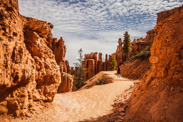 в национальном парке брайс-каньон, тропа пик-а-бу - usa desert southwest usa canyon стоковые фото и изображения