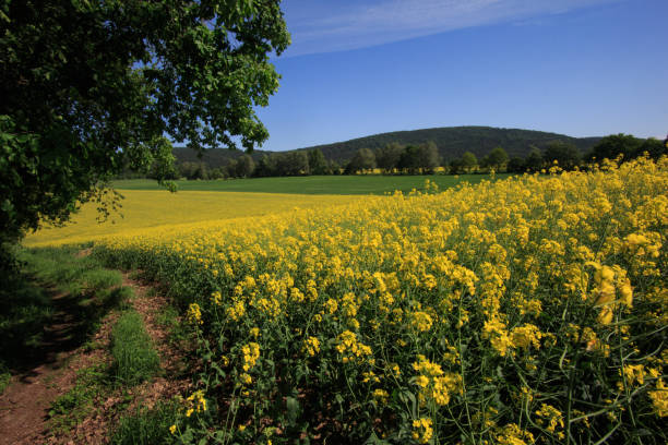 istock view to the czorneboh 959564602