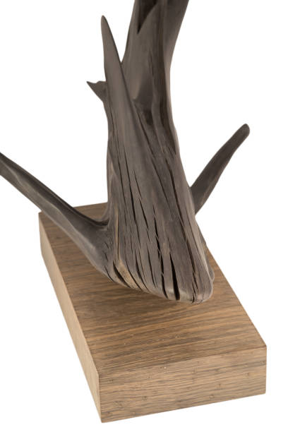 istock A product made from the roots of an old oak tree on a white background. Isolated Image 959566778