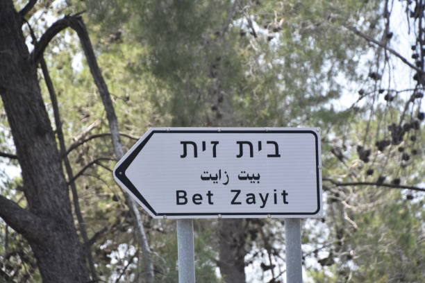 istock Road  AND STREET signs 959571524