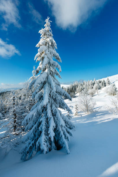 istock Winter mountain snowy landscape 959572870
