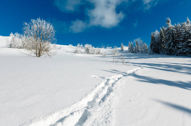 istock Winter mountain snowy landscape 959575796