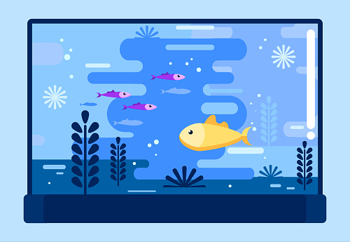 Ilustración de Pecera Con Peces Deferentes De Estilo Plano Acuario De Cristal Diseño De Ilustración Vectorial y más Vectores Libres de Derechos de Acuario - Recinto para animales en cautiverio - iStock Ilustración de Pecera Con Peces Deferentes De Estilo Plano Acuario De Cristal Diseño De Ilustración Vectorial y más Vectores Libres de Derechos de Acuario - Recinto para animales en cautiverio - iStock
