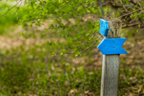 istock Follow the blue wooden arrow. 959579666
