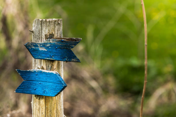 istock Follow the blue wooden arrow. 959579850