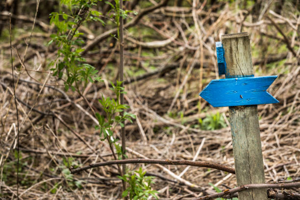 Blue wooden arrow.