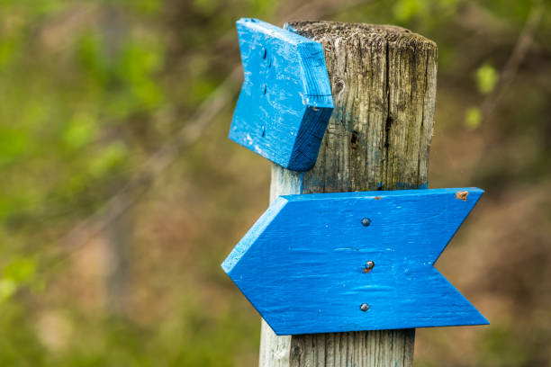 istock Follow the blue wooden arrow. 959579898