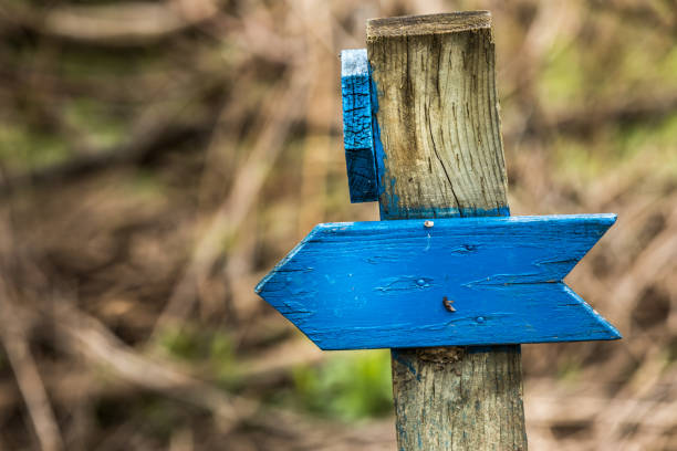 istock Follow the blue wooden arrow. 959579904