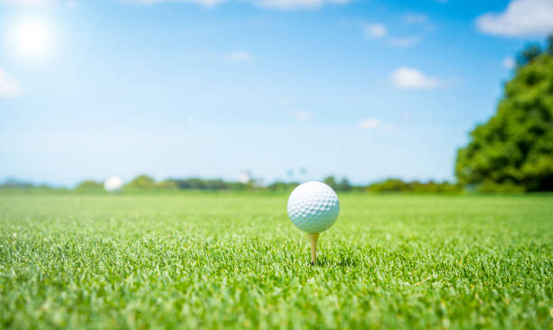 der golfball auf dem grünen rasen des golfplatzes setzen - golf golf ball tee green stock-fotos und bilder