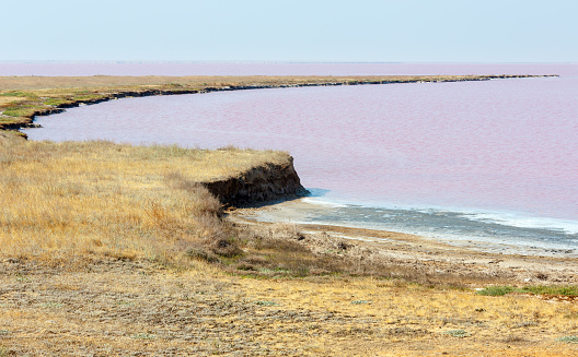 Pink extremely salty Syvash Lake, colored by microalgae. Also known as the Putrid Sea or Rotten Sea. Ukraine, Kherson Region, near Crimea and Arabat Spit.