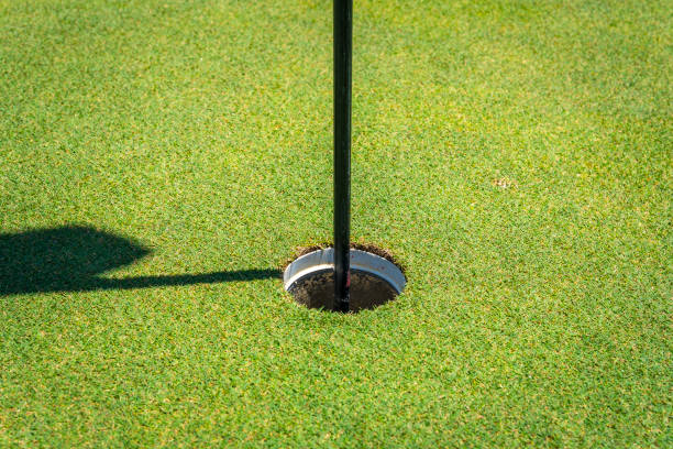 istock A Hole of golf ball in golf course 959588770