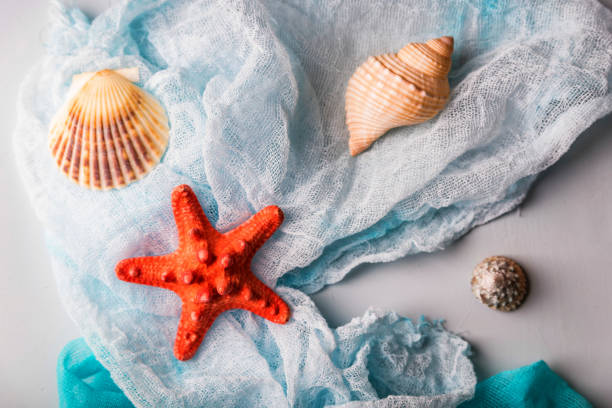 istock Seashells and starfish on cian and white cloth 959589334