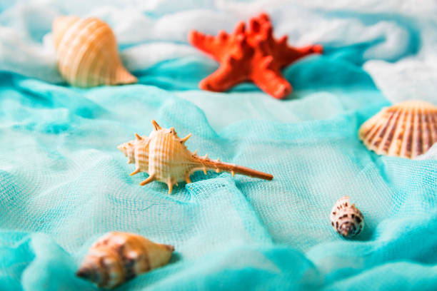 istock Seashells and starfish on cian background 959590538