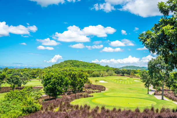 istock A Beautiful Green grass and sand bukger at golf course 959593680