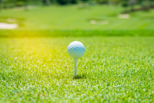 istock The golf ball put on green grass of golf course 959594544