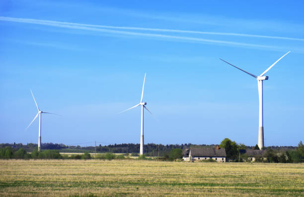 istock Wind turbines in the field. Eco-energy concept. 959598262