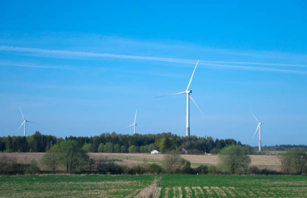 istock Wind turbines in the field. Eco-energy concept. 959598300