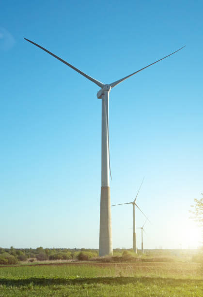 istock Wind turbines in the field. Eco-energy concept. 959598302