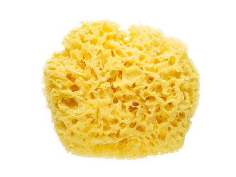 Yellow natural sponge flatlay top view isolated on white