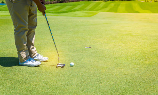 istock Golfer pushing golf ball on green grass to hole at golf course 959599184