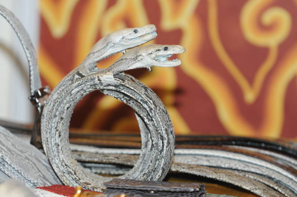 аксессуар пояс змеиной кожи - buckle man made personal accessory close up стоковые фото и изображения