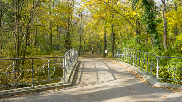 istock Road at a river in Laxenburg 959609638