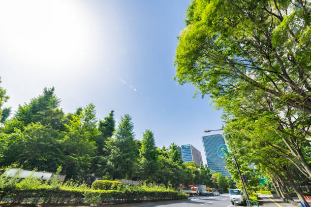 Sustainble green building. Eco-friendly building in Tokyo city