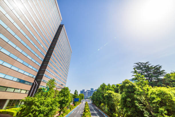 istock Fresh green and buildings in Tokyo 959621830