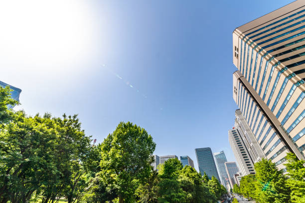 istock Fresh green and buildings in Tokyo 959622094