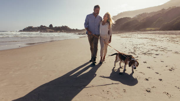istock Couple walking a dog on the beach 959624690