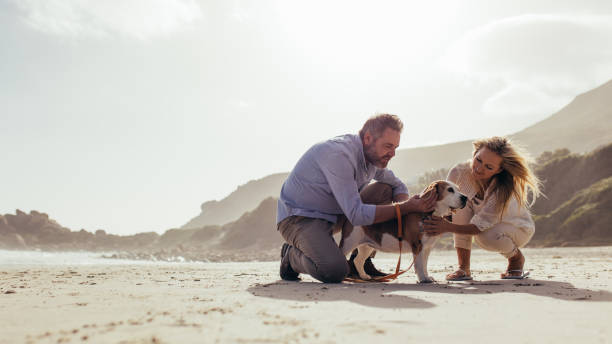 istock Mature couple with pet dog on the beach 959624766