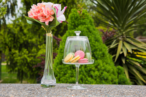 Colored macarons in covered glass bowl with hydrangea flower in garden