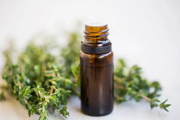 Thyme essential oil bottle with bunch of thyme herb. close up