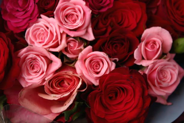 istock Red and pink roses bouquet close up 959633648