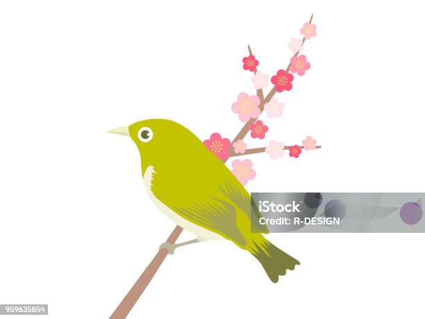 Nightingale Stock Illustration - Download Image Now - Bird, Nightingale - Bird, Japanese Bush Warbler