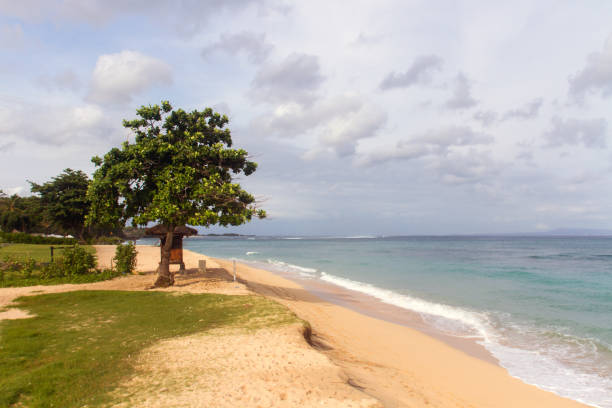 South Asian tropical beach with yellow sand, azure ocean with foamy waves, green trees and colorful blue sky