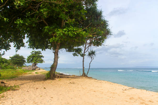 istock Tropical beach with yellow sand, azure ocean and green trees 959639082
